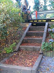 003-steps-with-leaves-tidied-away