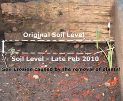 soil-left-02